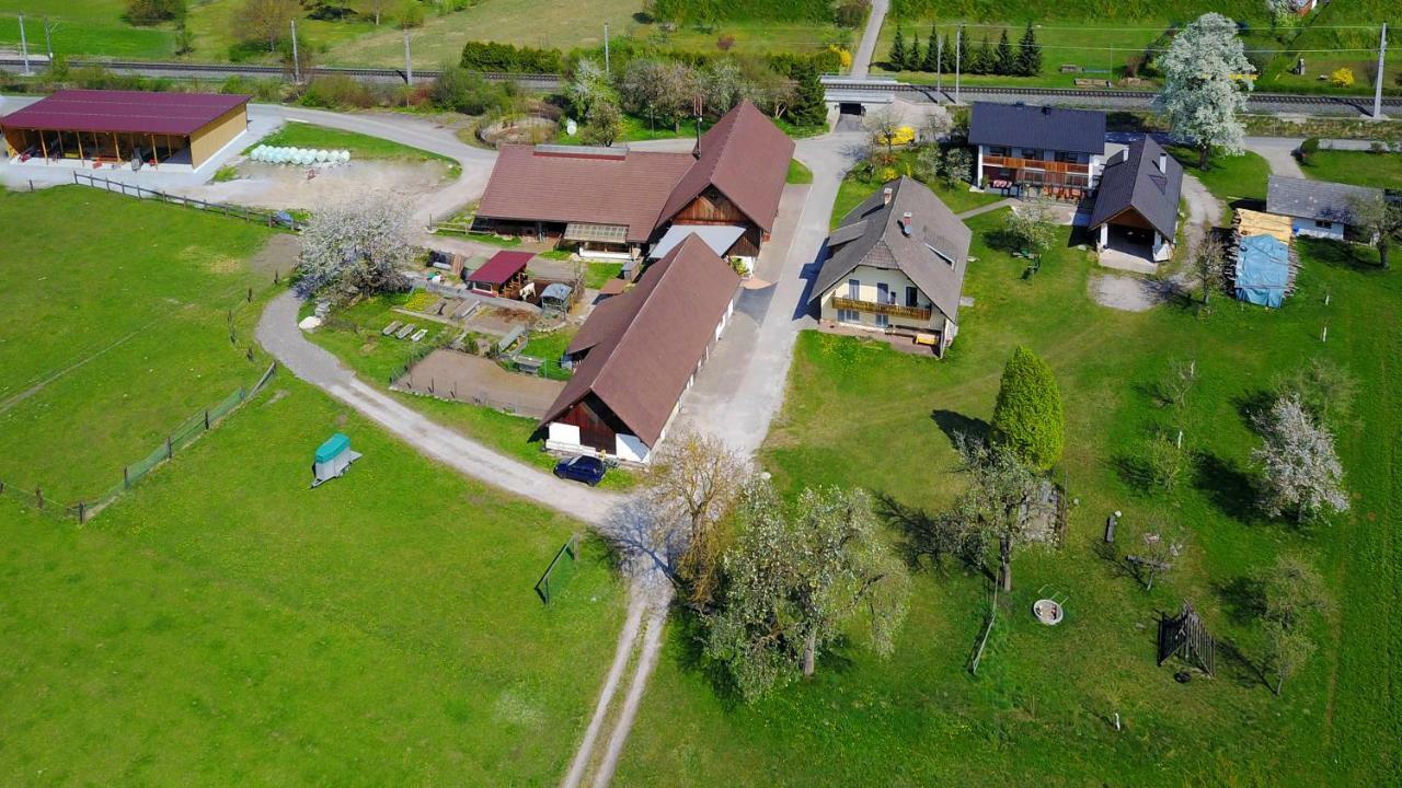 Apartamento Ferienhof Ressmann-Tratnik Ledenitzen Exterior foto